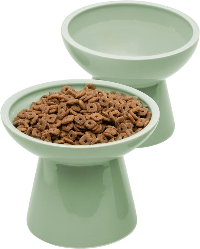 Elevated Ceramic Cat Bowl